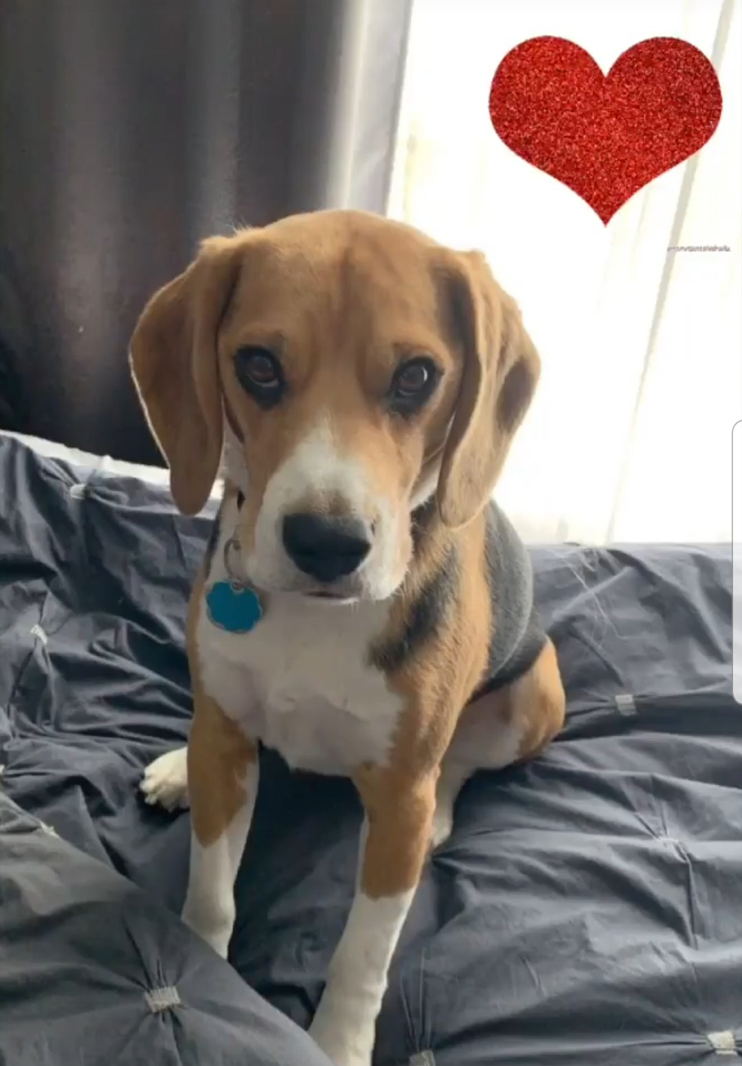 Screenshot_20190304-123817_Instagram