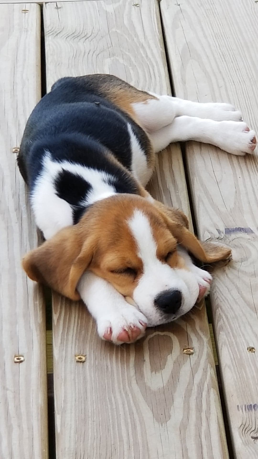 80192196_802819513501192_3498262927155134464_n