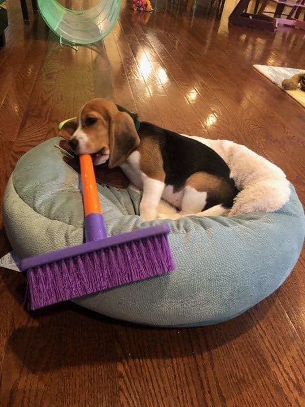 80216442_2766098526788181_2307655167585026048_n