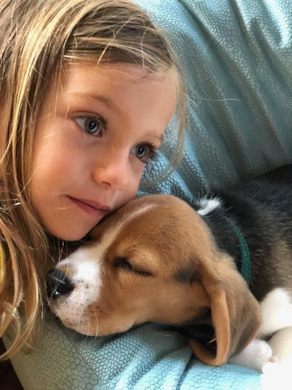 80242685_2529878083948119_8882960715749523456_n