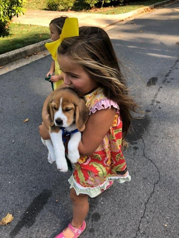 80438199_1819592178185418_2188881854218633216_n