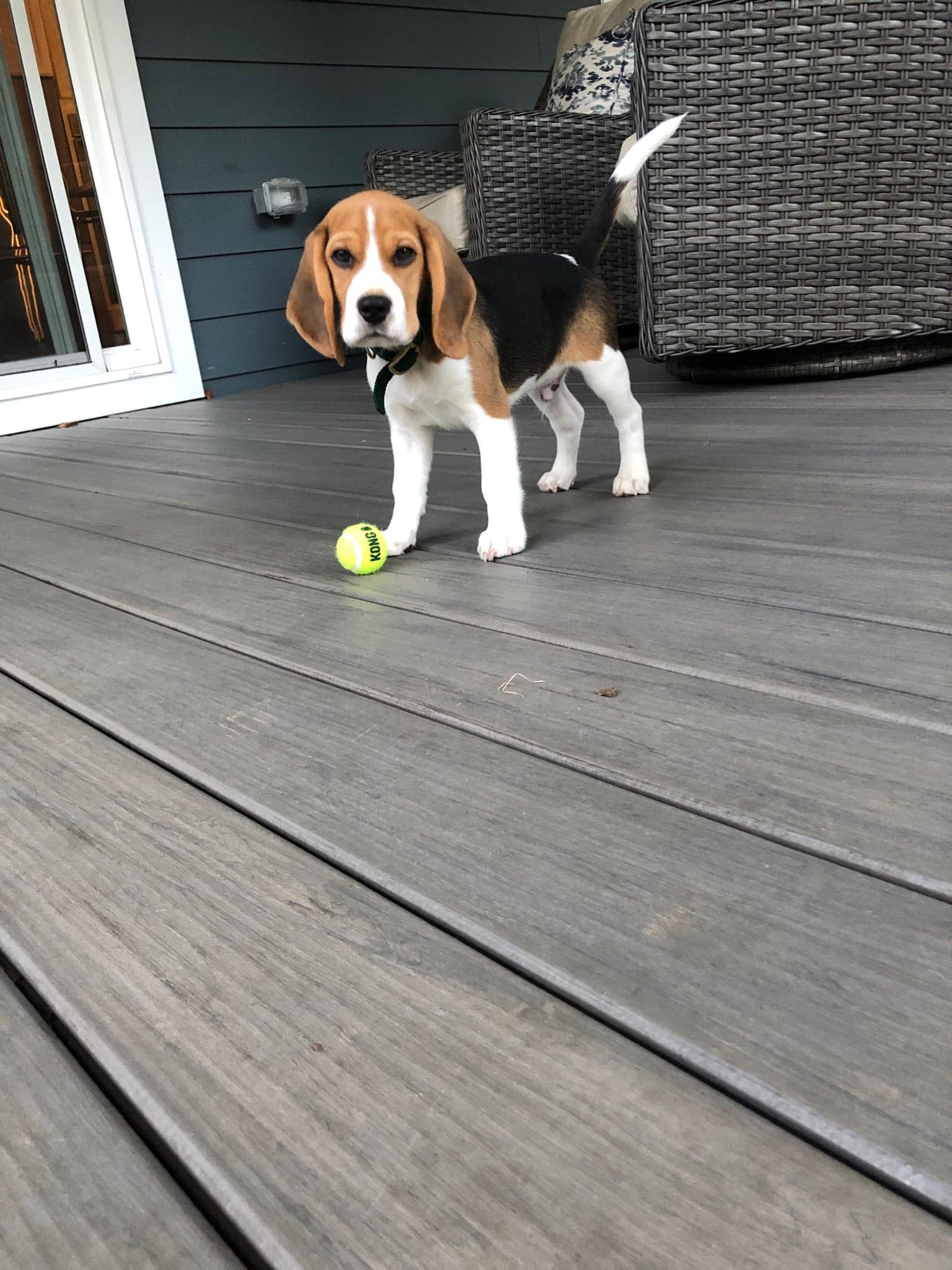 80439767_2562066104117577_943492985083920384_n