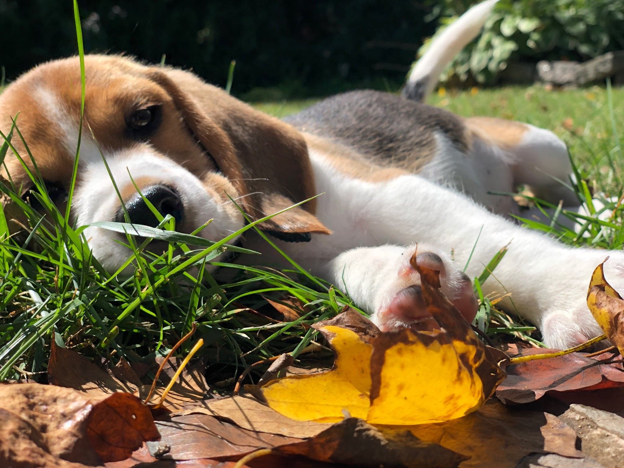 80467010_568260547345656_2174998591477645312_n