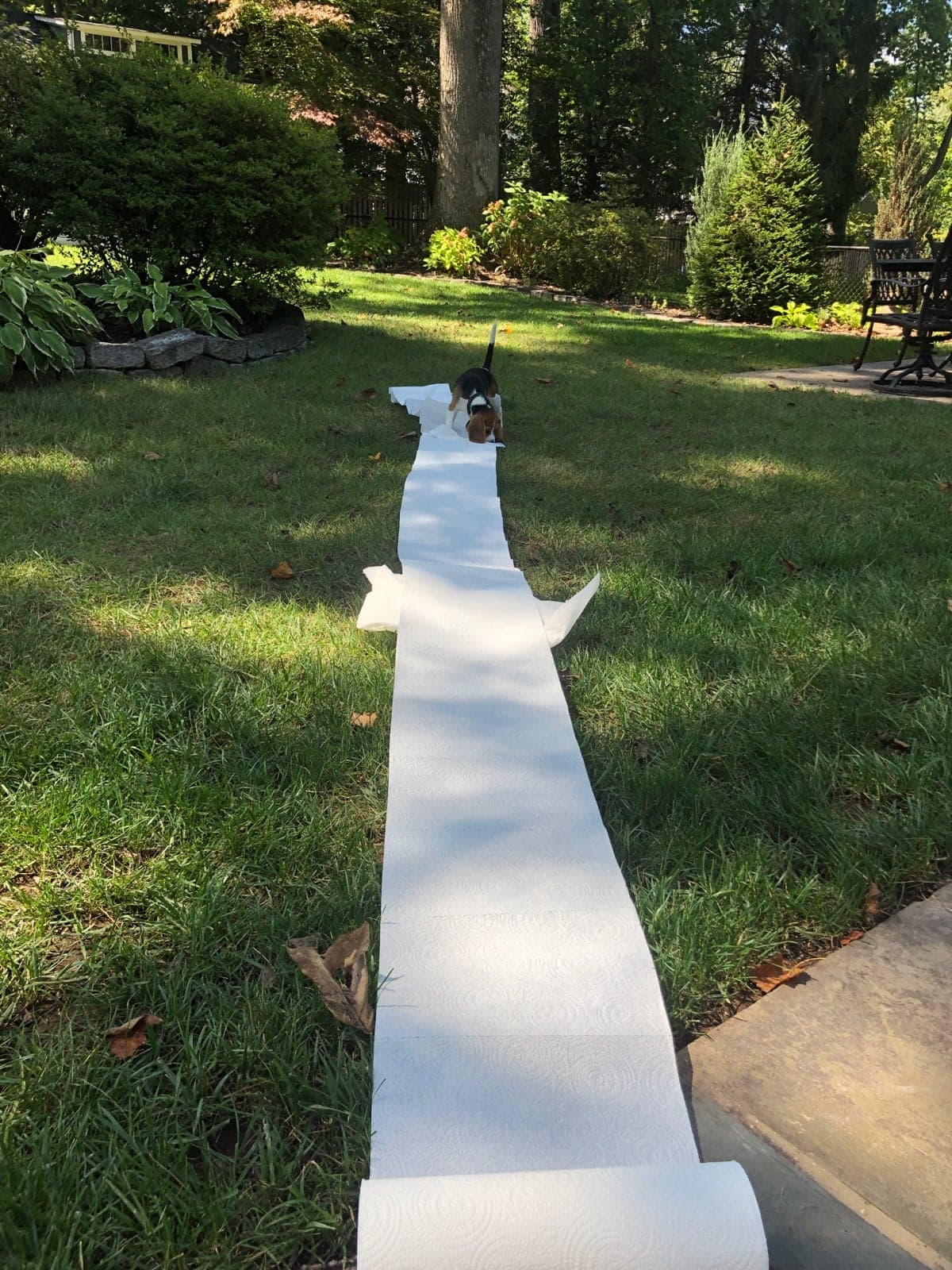 80489097_1027442974284144_95124549124751360_n