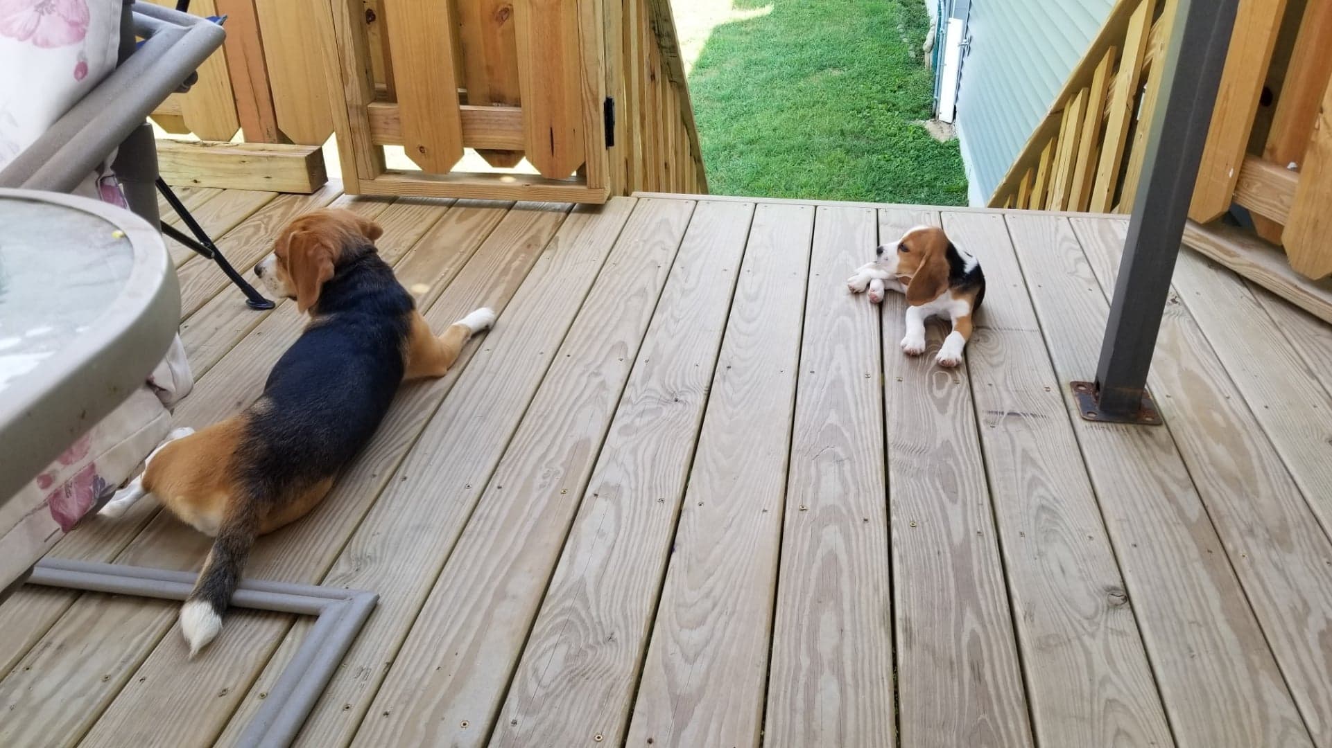 80588450_2265505387081997_1351638899679559680_n