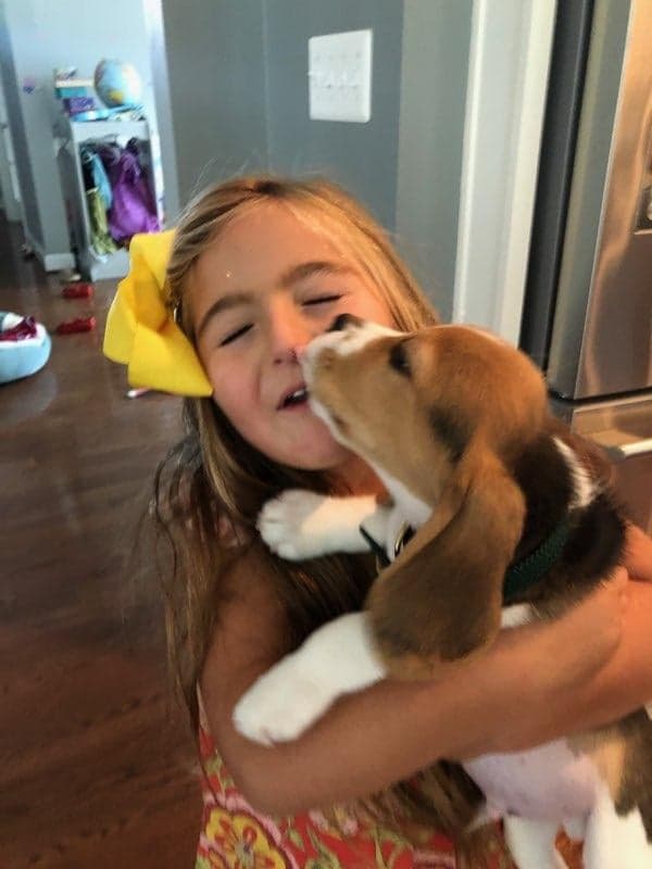 80657773_2634079776647397_1138443354535624704_n (1)