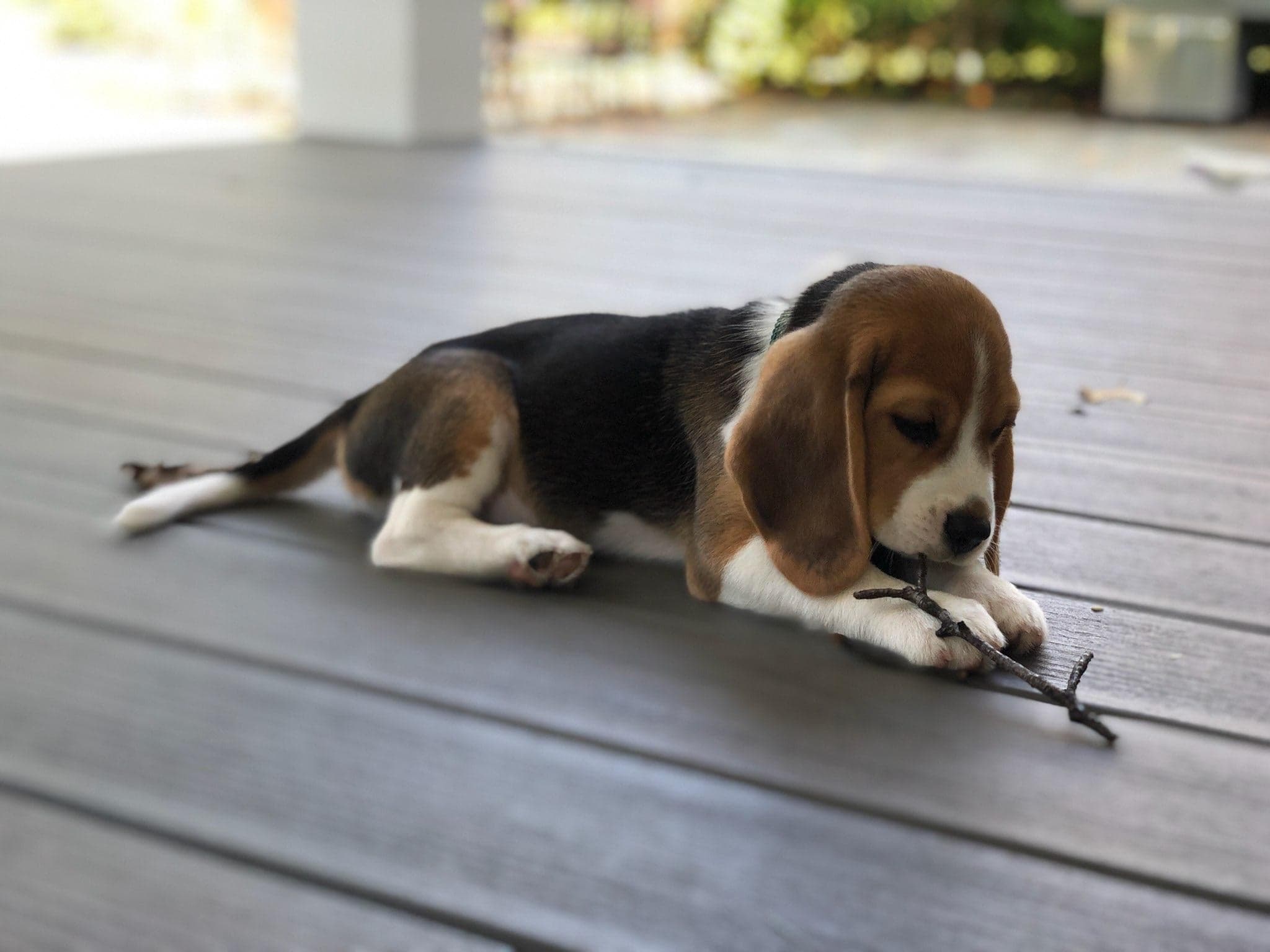 80871196_463940860984989_3352345304513904640_n