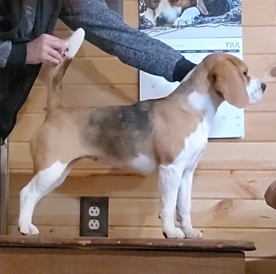 291791298_2057101544469344_6271240922524573977_n